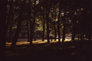 kağıthane tabela reklam görseli