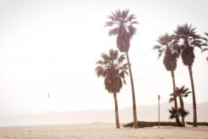 kağıthane tabelacı görseli